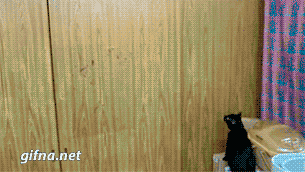 Гифки разные Гифки разные