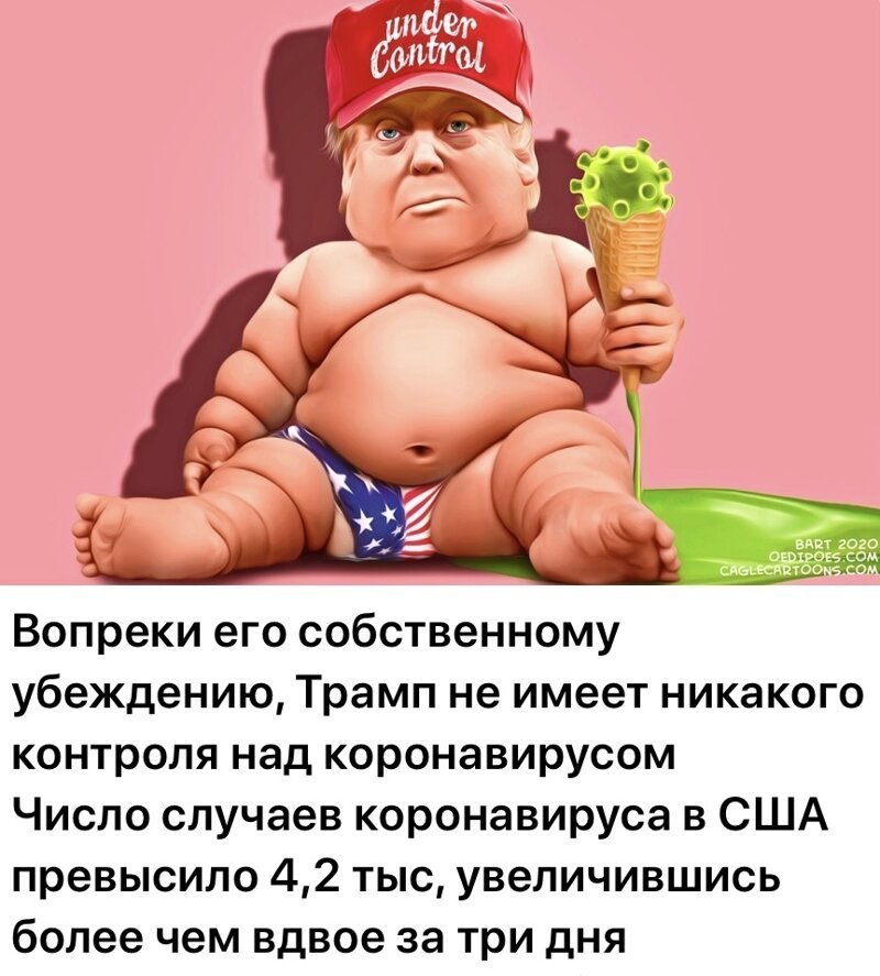Политические комментарии из инета