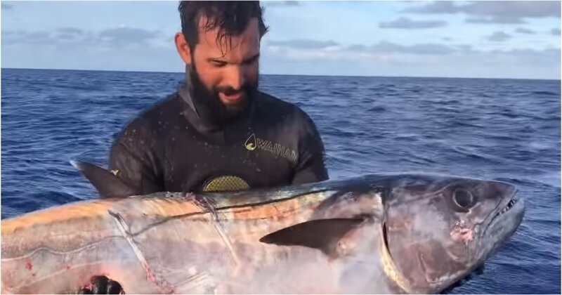 Подводному рыбаку пришлось побороться с голодными акулами за свой улов