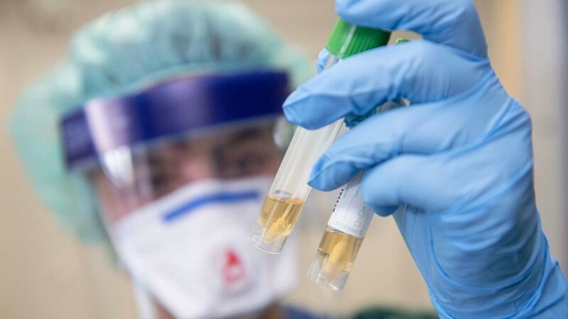 Две фазы болезни: китайские врачи рассказали о том, как отличить коронавирус от простуды
