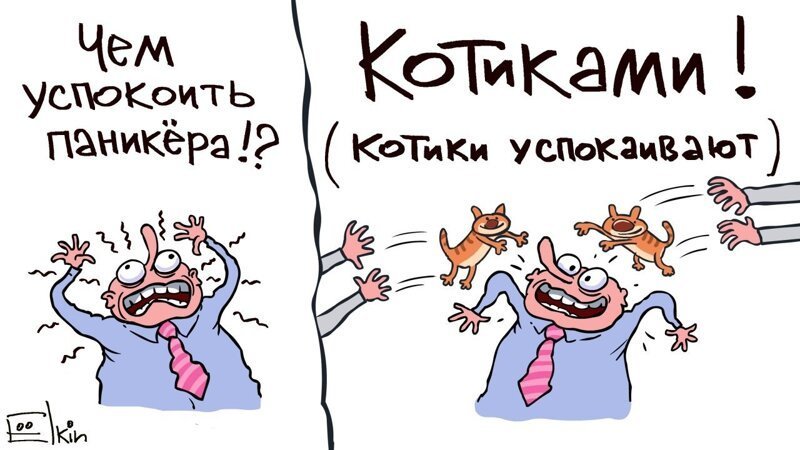 Политические комментарии из инета