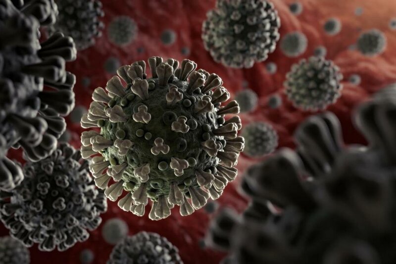 Причины быстрого распространения коронавируса