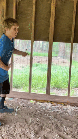 Укротитель змей