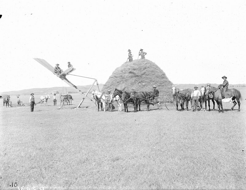 Укладка сена в округе Баффало, штат Небраска, 1903