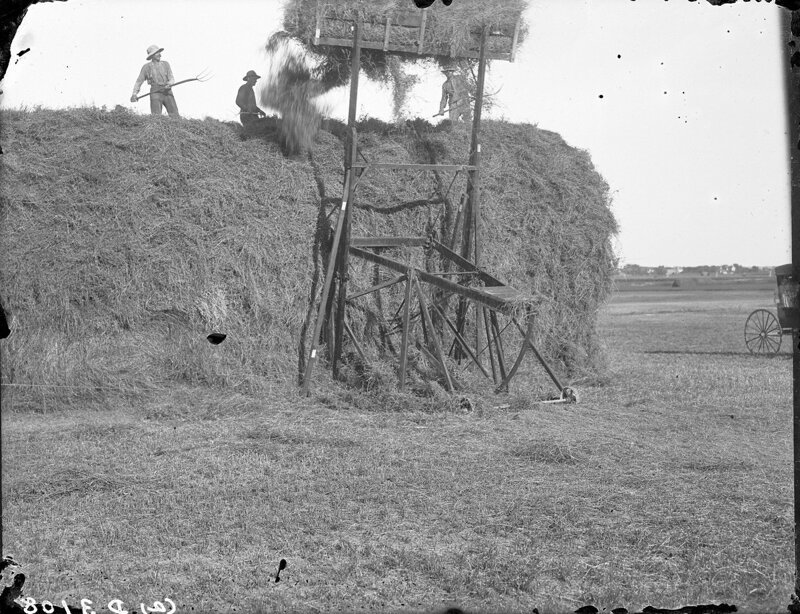 Укладка сена в округе Баффало, штат Небраска, 1903.