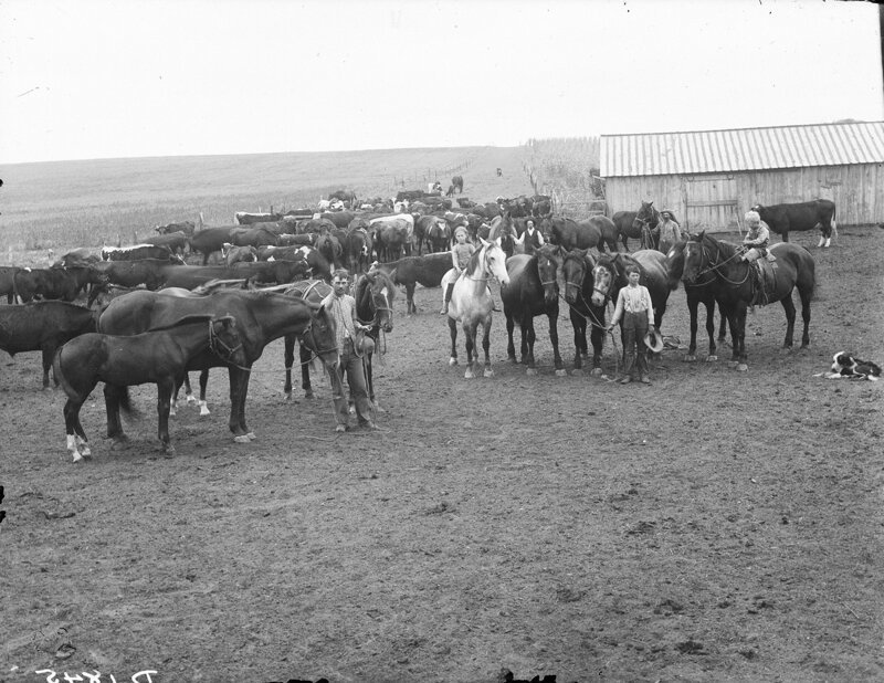 Ранчо, округ Черри, штат Небраска, 1901.