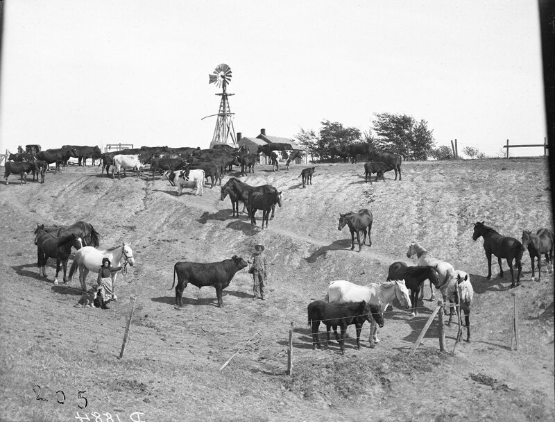 Ранчо Р. Элвуда, около Карни, Небраска, 1903.