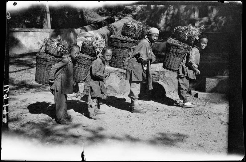 Мальчики с орехами, Таньчжэсы, 1917-1919