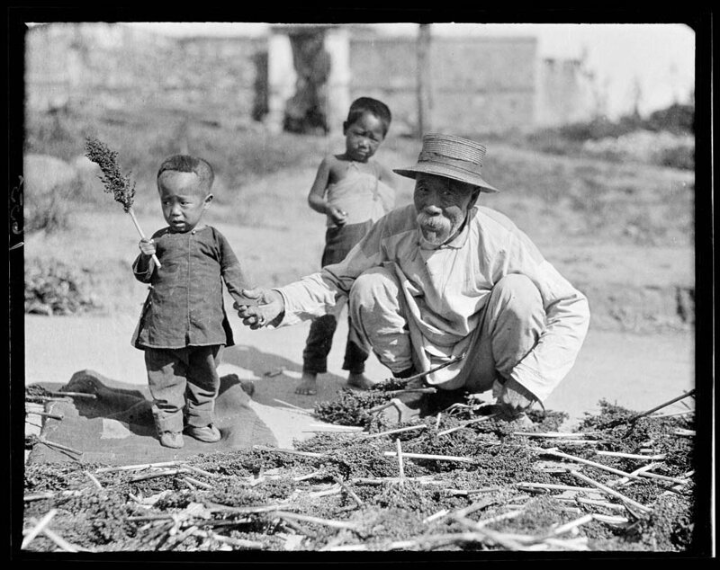 Старик и дети, Бэйдайхэ, 1917-1919