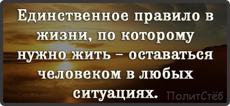 Политические комментарии из инета