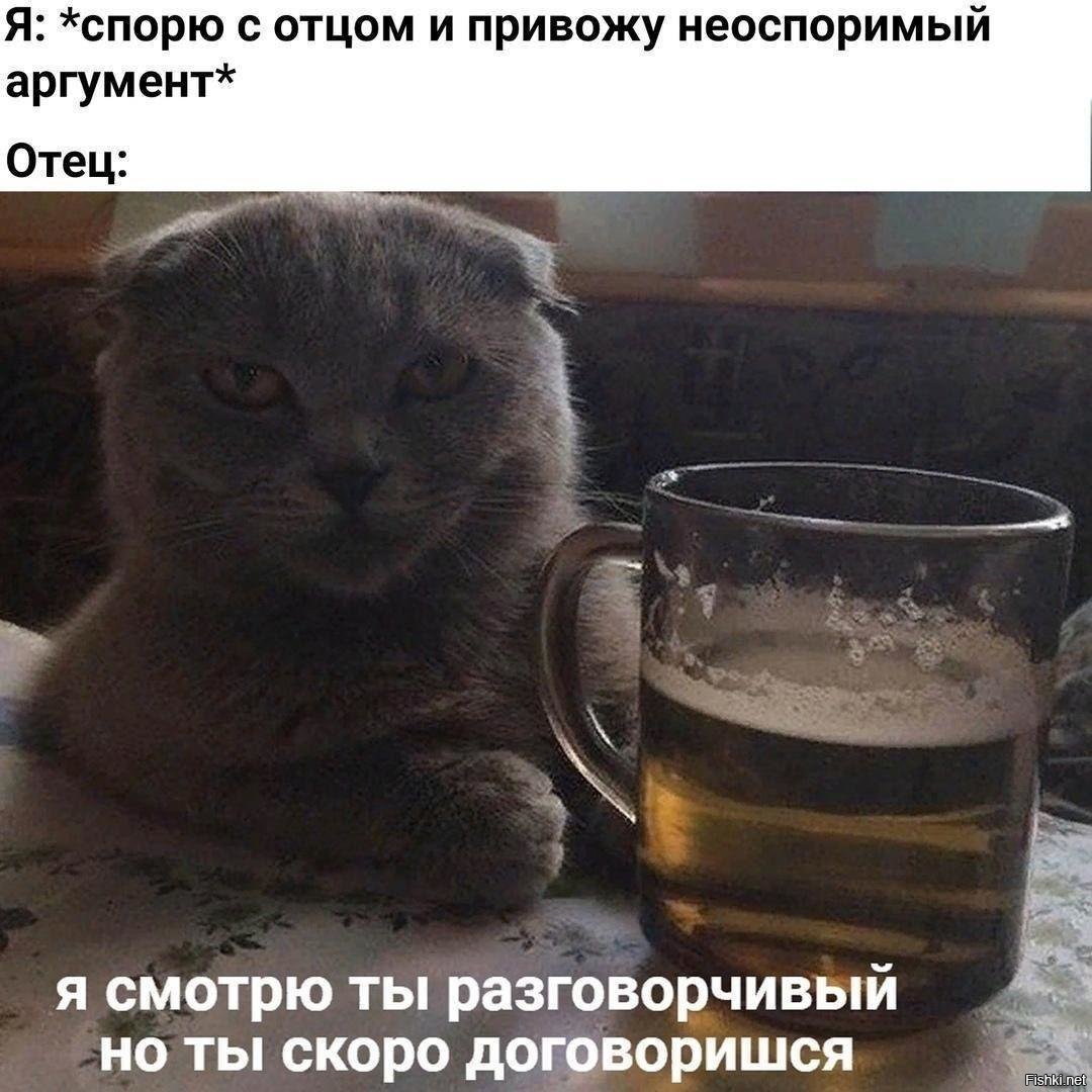 Котик с пивом картинки