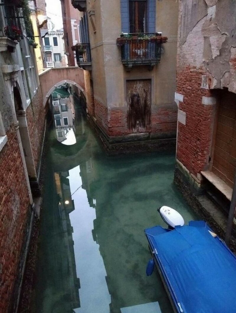 Каналы в Венеции полностью очистились после введения карантина