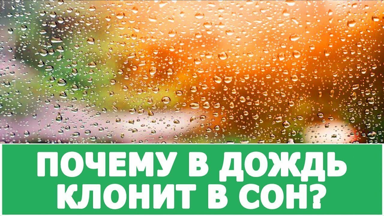 Песни почему дождь. Почему в дождь хочется спать. Дождь клонит в сон. Почему во время дождя хочется спать. Спать в дождик.