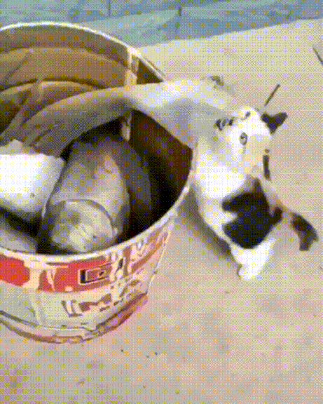 Гифки разные Гифки разные