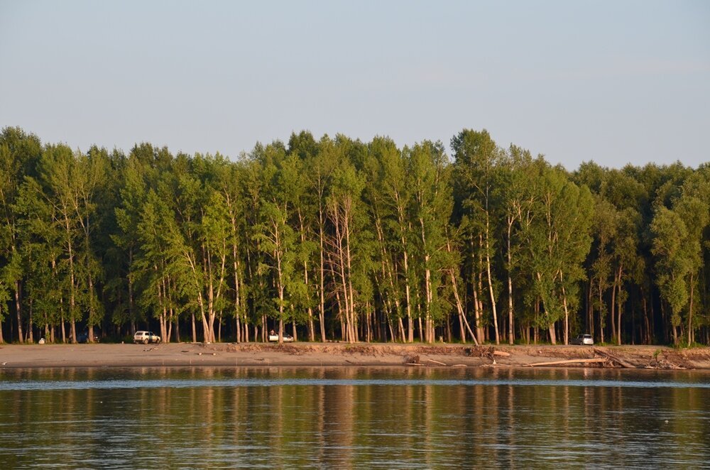 Река в барнауле. Река Обь Барнаул. Берега реки Обь Барнаул. Левый берег реки Обь. Берег Оби Барнаул.