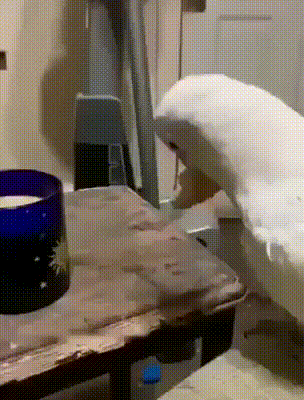 Хлеб и молоко-наше все