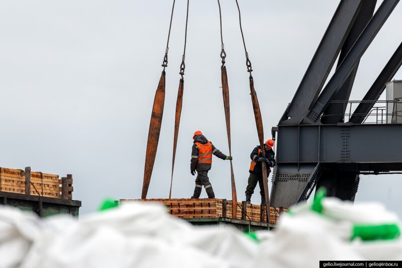 Архангельский морской торговый порт — ворота в Арктику