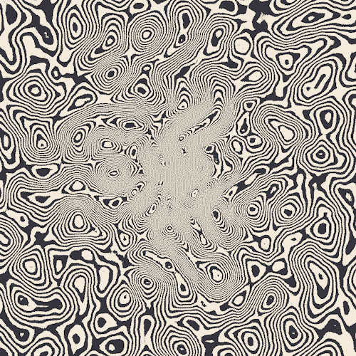 Черно-белые гипногифки