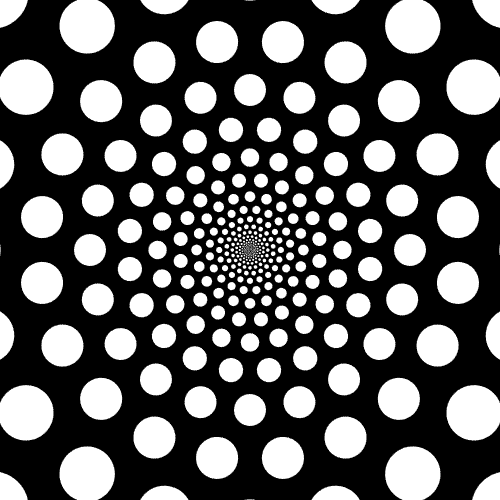 Черно-белые гипногифки