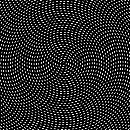 Черно-белые гипногифки