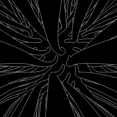 Черно-белые гипногифки