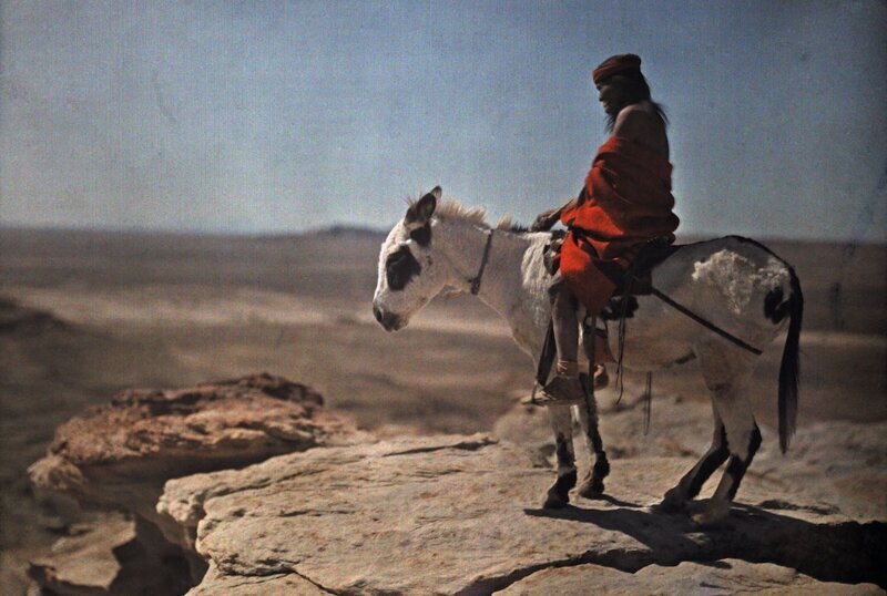 1916. Индеец Хопи на своем ослике стоит на краю высокой горы. Автор фото: Франклин Прайс Нотт