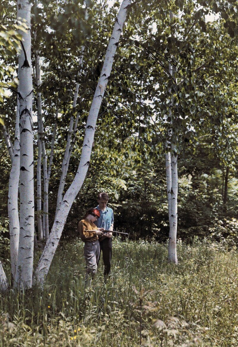 1927. Беннингтон, Вермонт – два человека стоят среди белых берез в долине Баттенкилл. Автор фото: Клифтон Р. Адамс