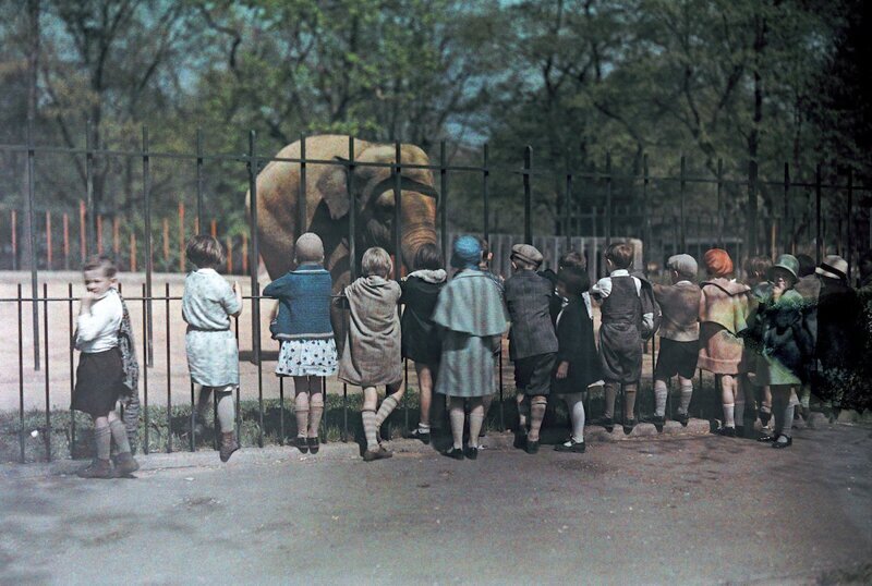1930. Вашингтон, округ Колумбия – группа детей смотрит на слона в Национальном зоопарке. Автор фото: Джейкоб Дж. Гайер