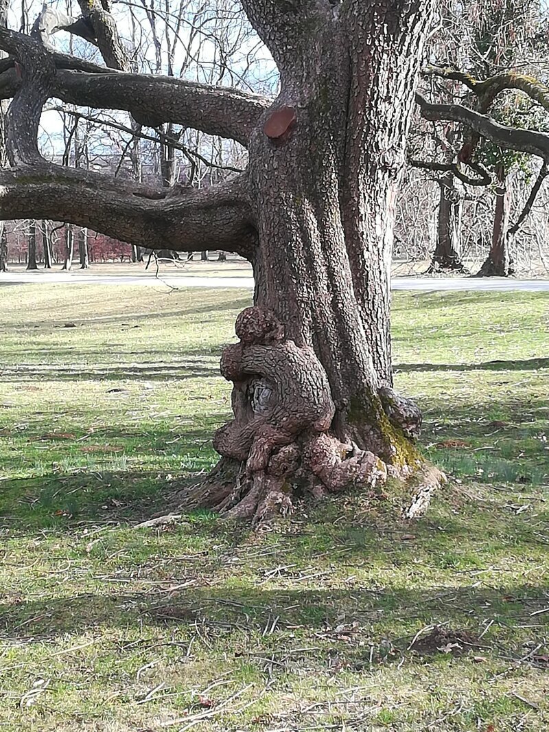 Малыш обнимает дерево
