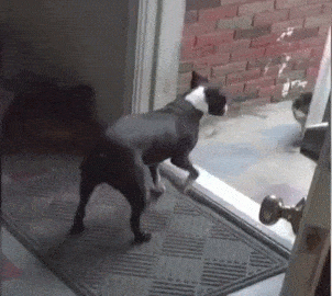 Гифки разные