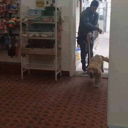 Гифки разные