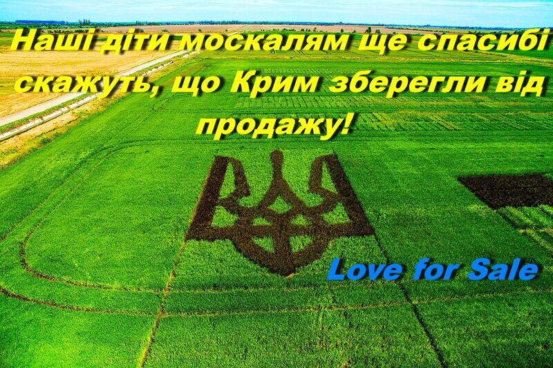 Вам же было сказано - готовимся к земле!  Виталя не так прост, как китайские кружевные трусы Евросоюза.
