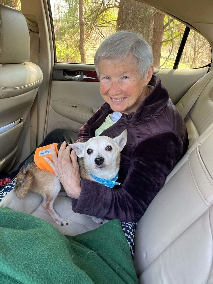 "Моя 87-летняя бабушка и ее новый 14-летний пес Орешек едут домой из приюта"