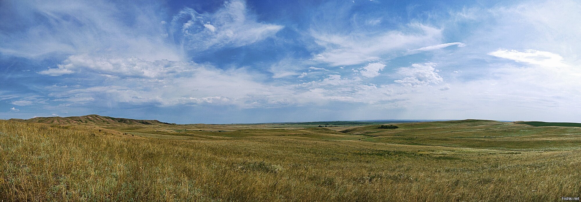 Донгузская степь панорама