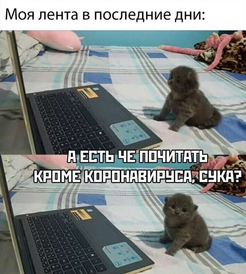 Политические комментарии 2