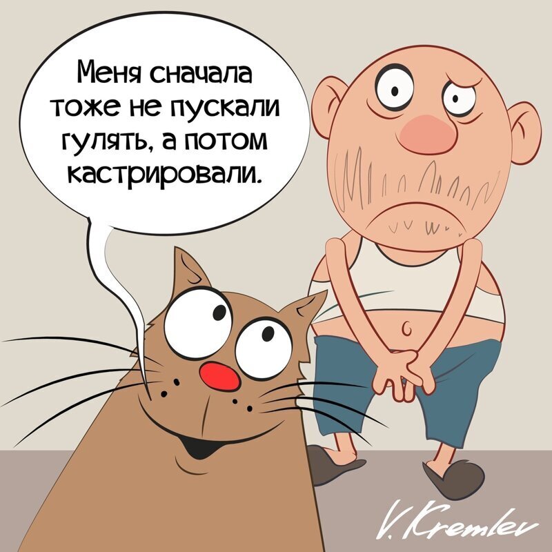 Политические комментарии