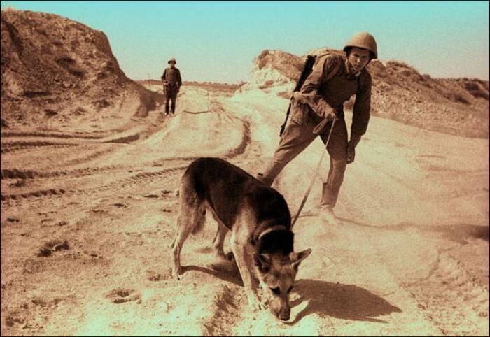 Для чего советские солдаты в Афганистане укладывали на дно грузовиков мешки с песком