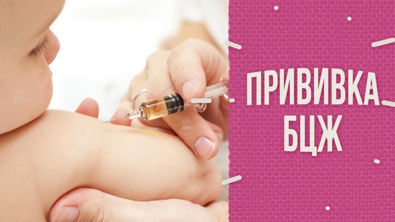 Как выглядит прививка от оспы на руке thumbnail