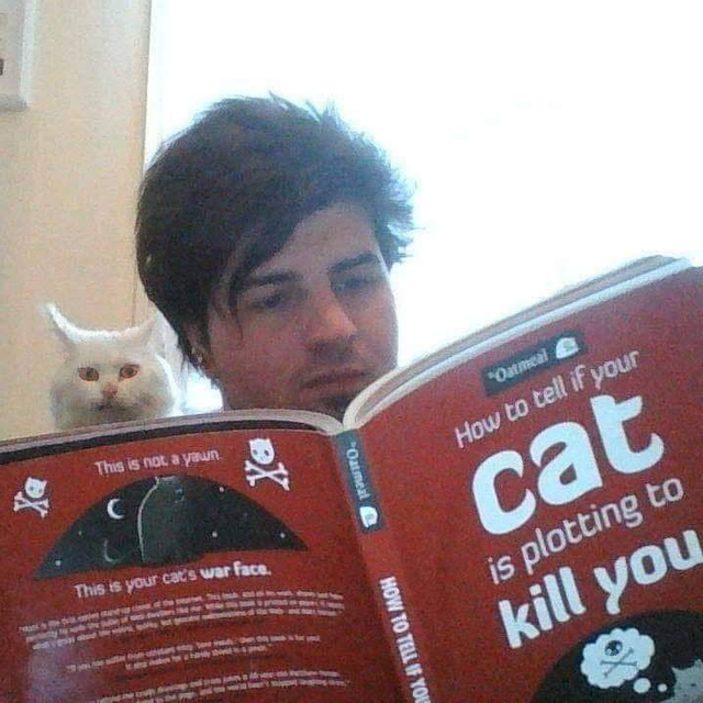 Название книги: "Что делать если ваш кот пытается вас убить?"