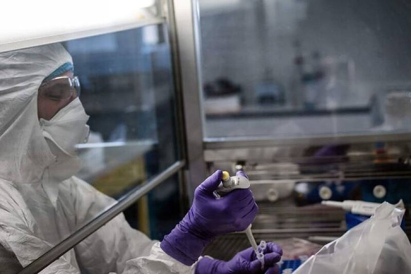 Российские ученые придумали, как автоматически выявлять коронавирусы в воздухе