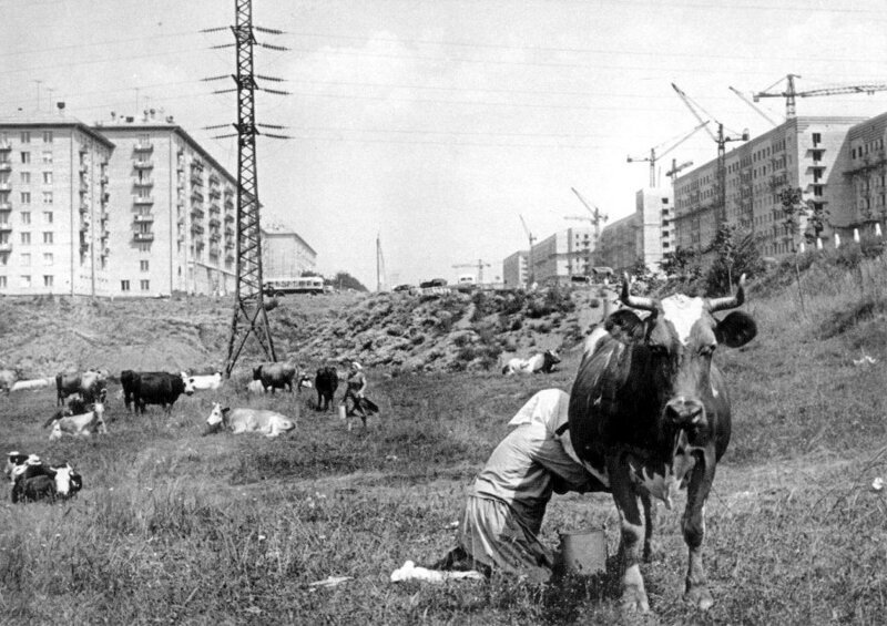 На Ленинском проспекте 1959г.
