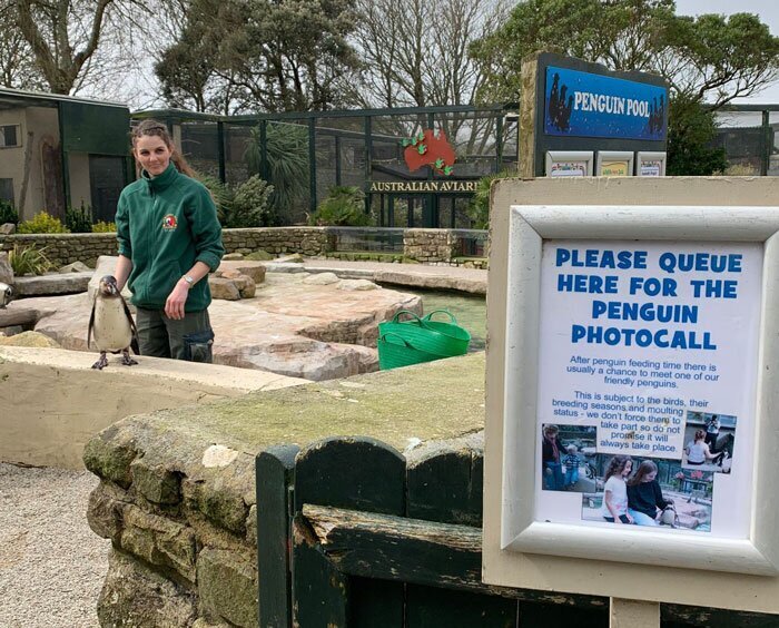 Четыре сотрудницы зоопарка в Англии пережидают карантин с животными