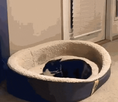 Одному хорошо, а вдвоем лучше