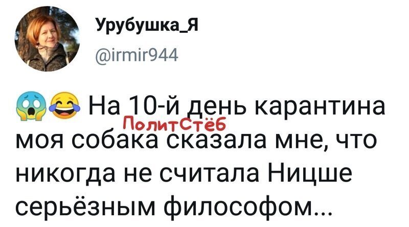 Политические комментарии 2