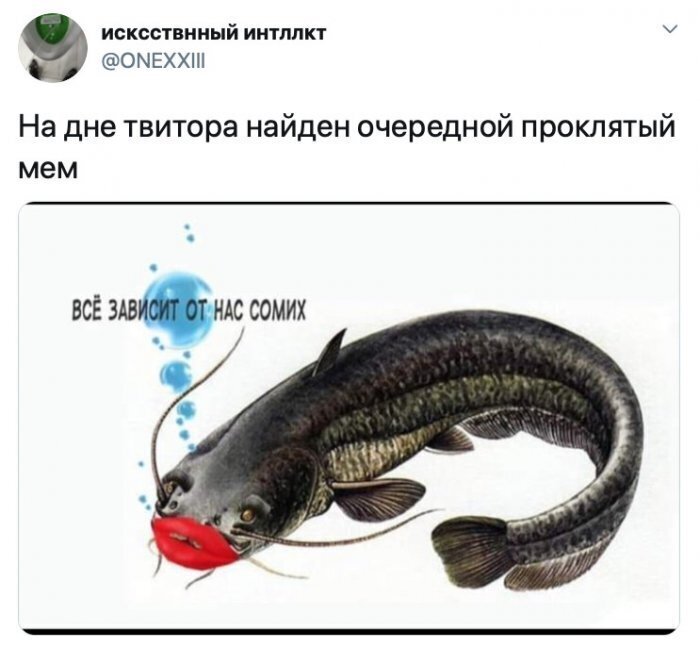 Буду рожать сома картинки