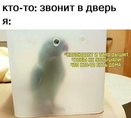 Смешные картинки