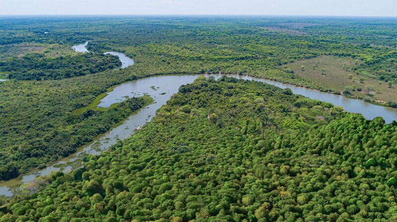 3. Дождевые леса Амазонии, Бразилия - сейчас
