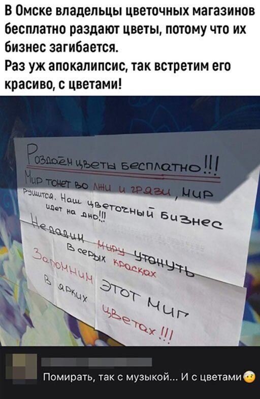 Прикольные и смешные картинки