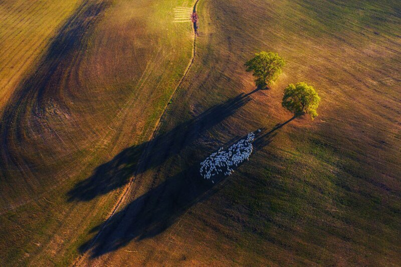 Аэрофотоснимок, сделанный в Тоскане в осеннем свете. (Фото NATURE TTL | MAREK BIEGALSKI):