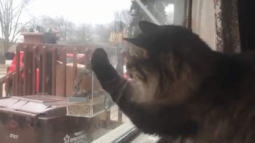 Так и нервный срыв получить можно